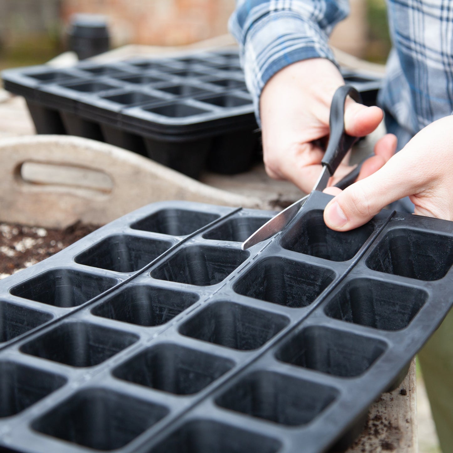 20 Cell Natural Rubber Seed Tray - Excess Customer Stock