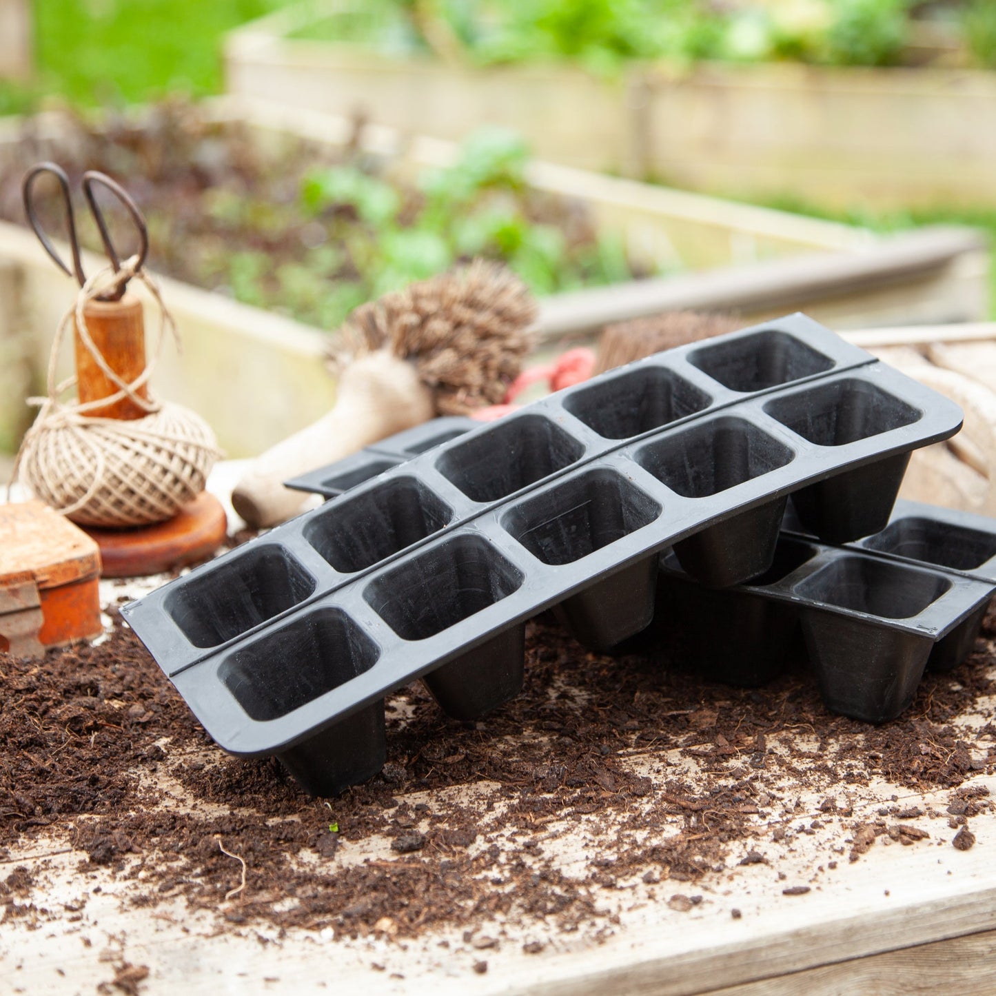 20 Cell Natural Rubber Seed Tray - Excess Customer Stock
