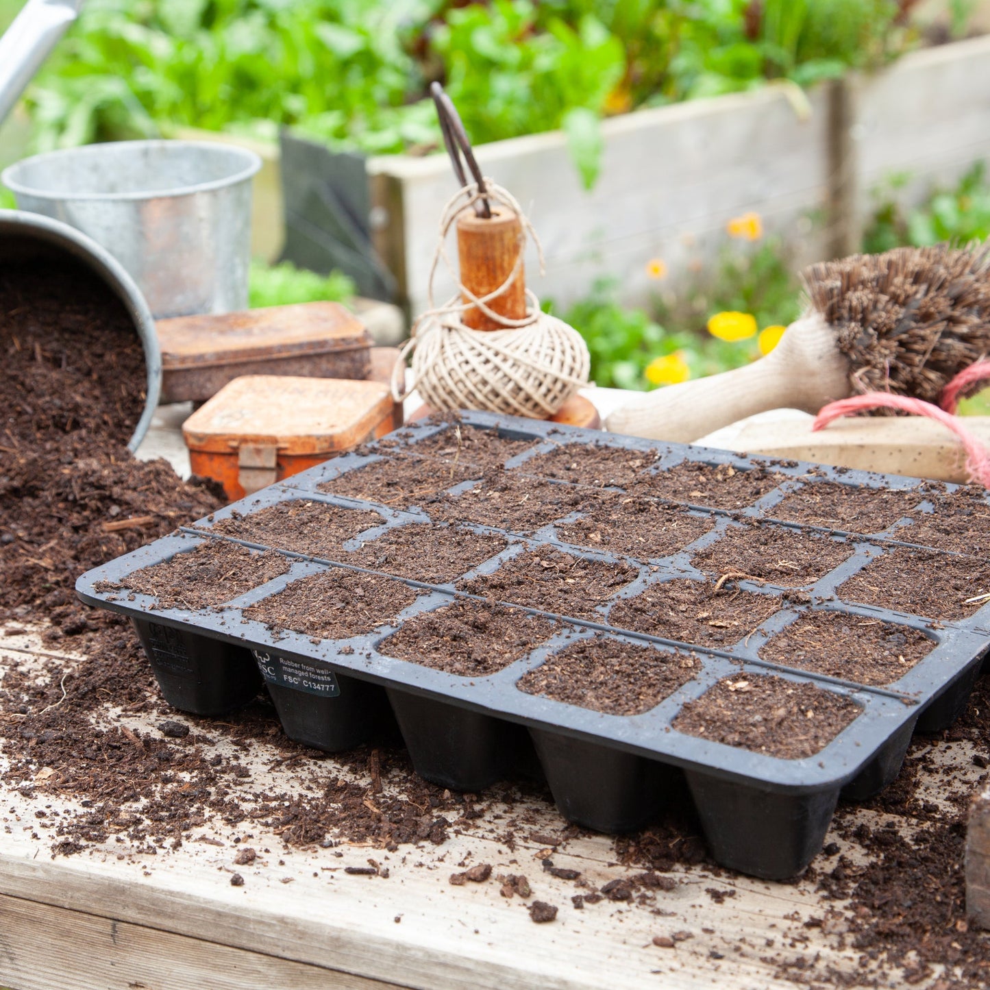 20 Cell Natural Rubber Seed Tray - Excess Customer Stock