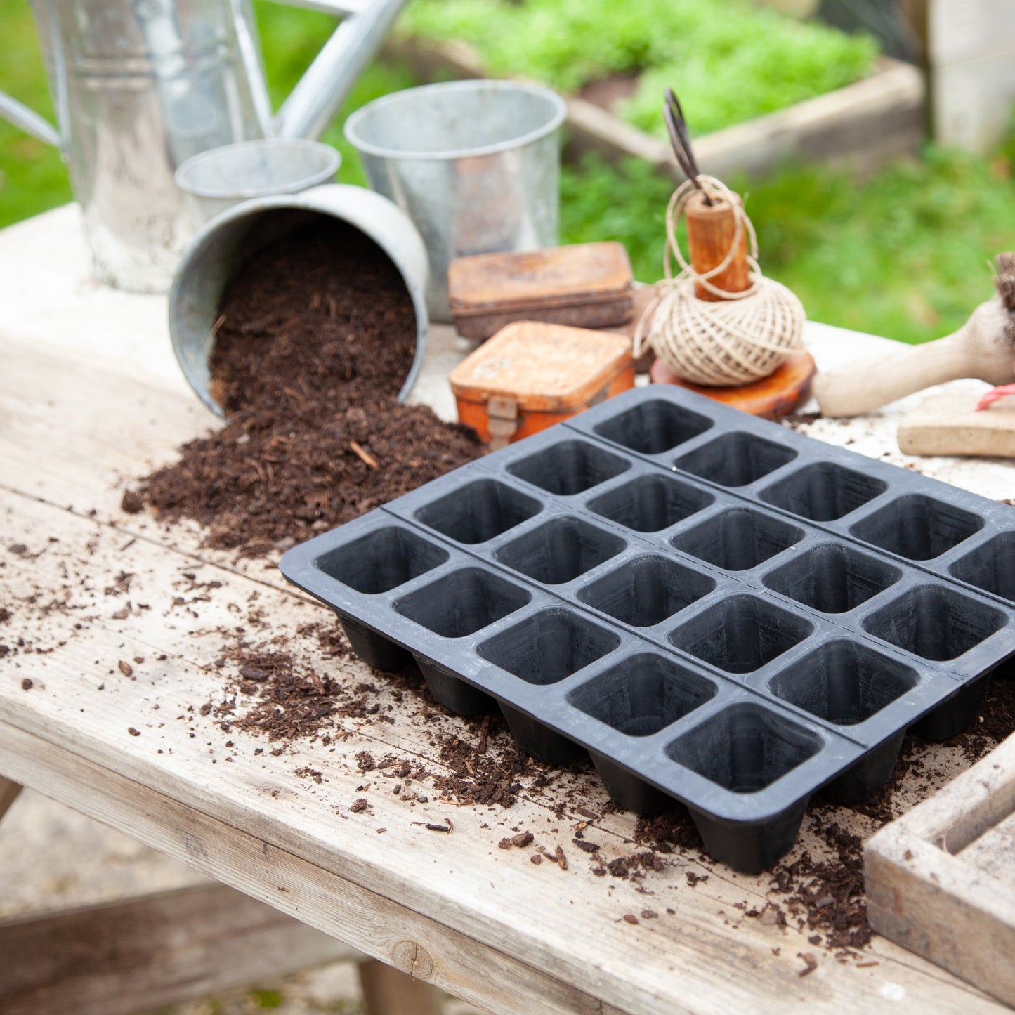 20 Cell Natural Rubber Seed Tray - Excess Customer Stock