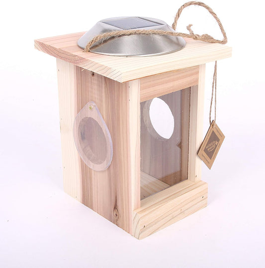 Illuminated Mini Beast Centre - End of Line