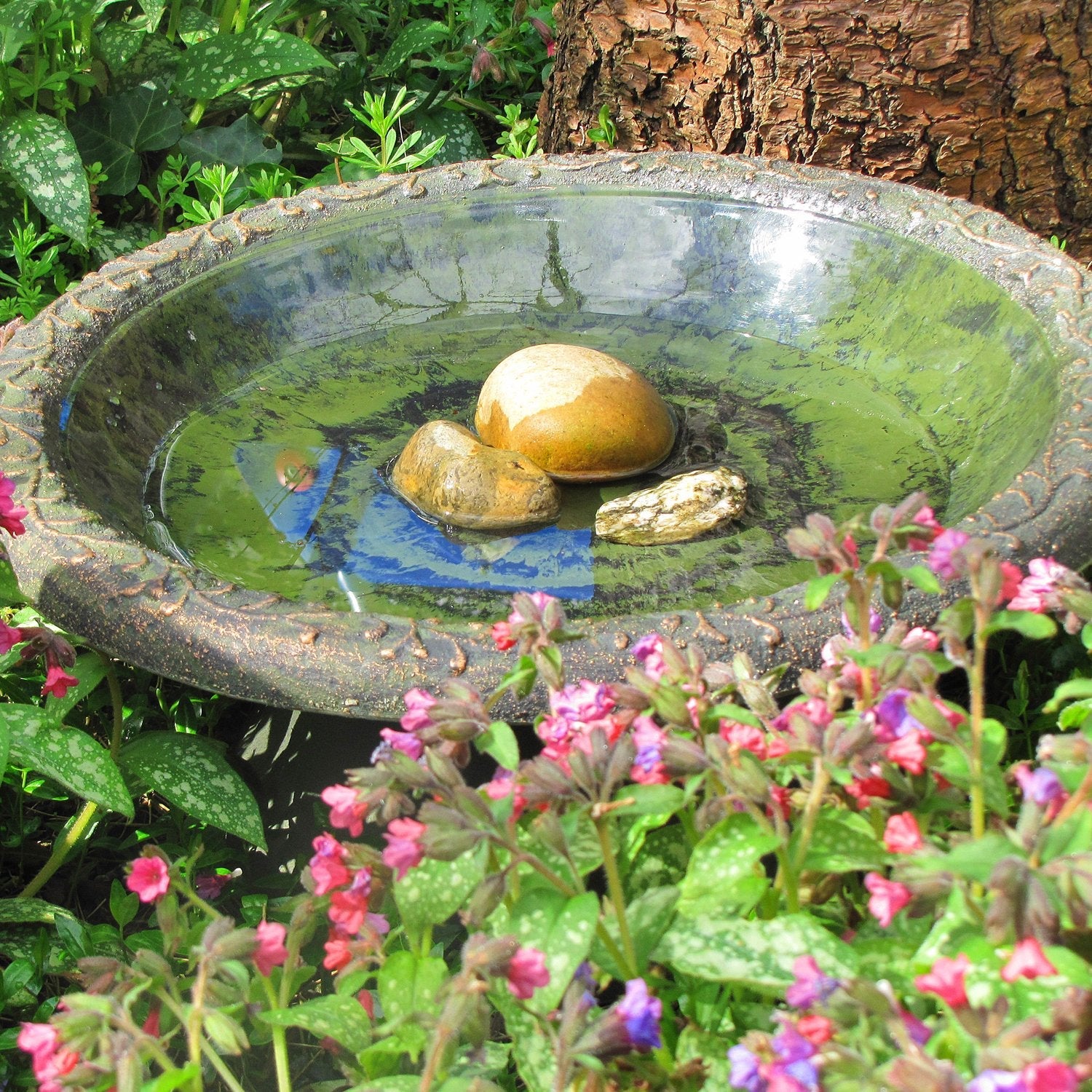 Coniston Bird Bath in flowers