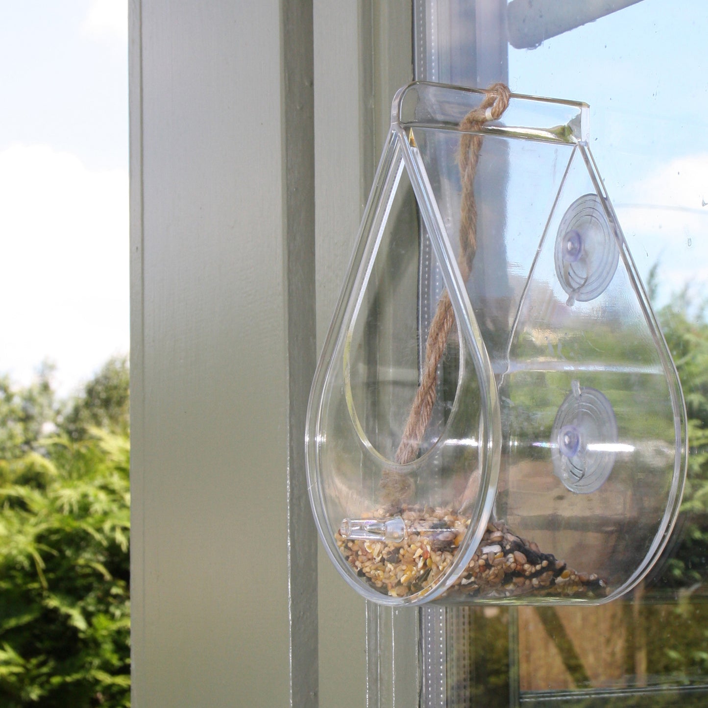 Dewdrop Window Feeder