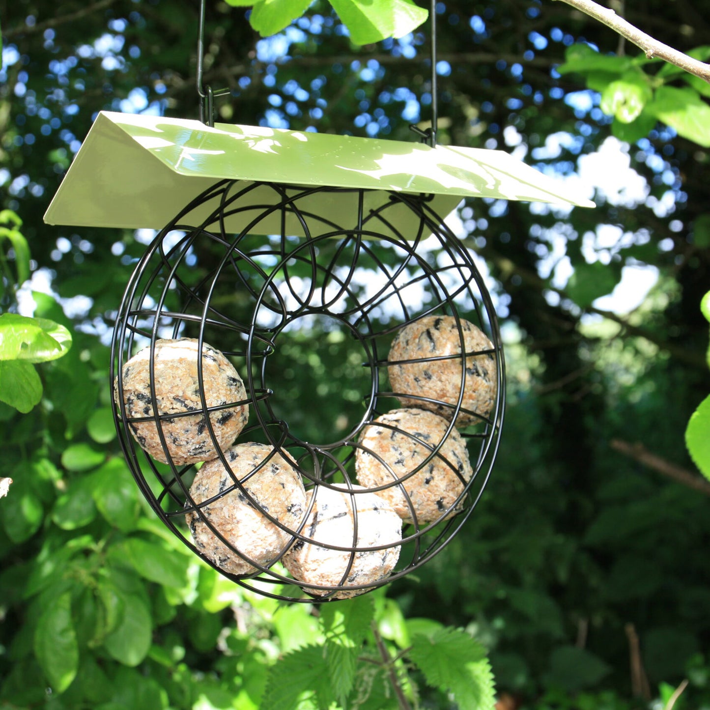 Doughnut Suet Ball Bird Feeder (Fat Balls Not Included)