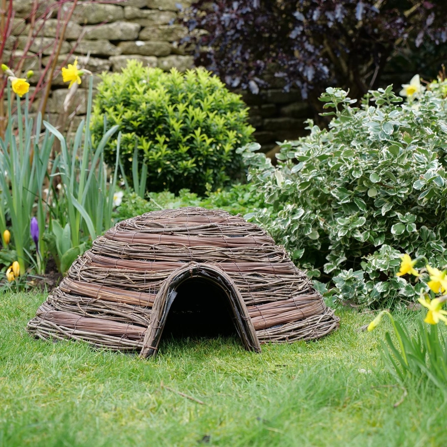 Dome Home - Hedgehog / Mammal Home