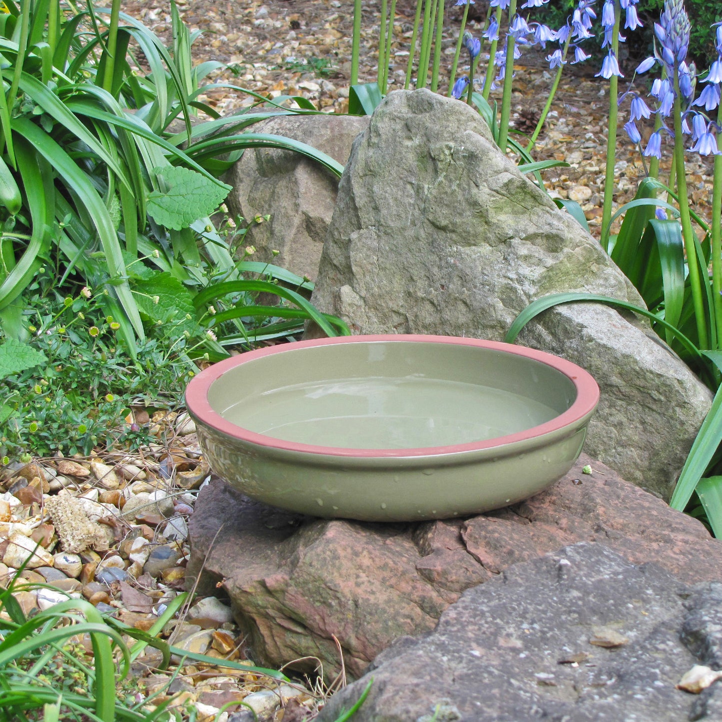 Green Dipper Bird Bath - No Birds