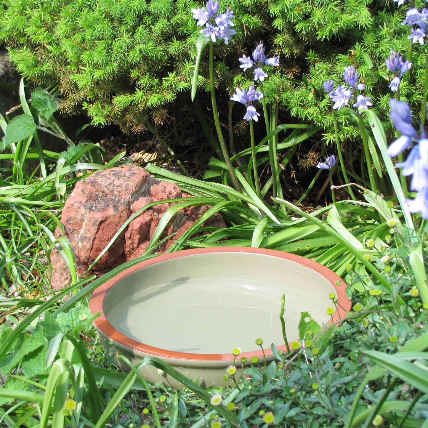 Green Dipper Bird Bath - No Birds