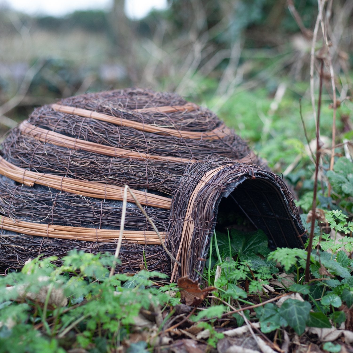 Hedgehog Shelter Wildlife World