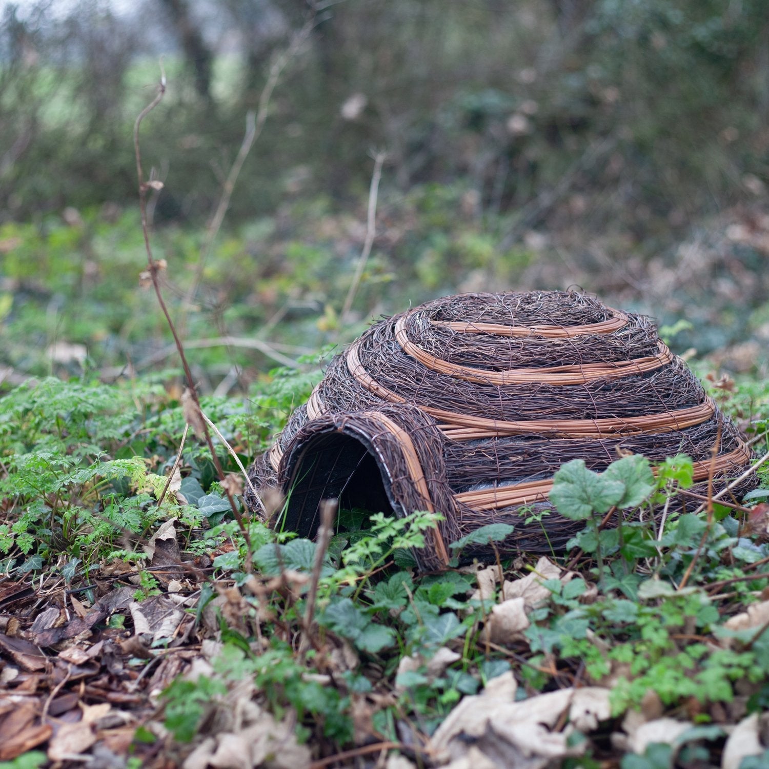 Hedgehog Shelter outside