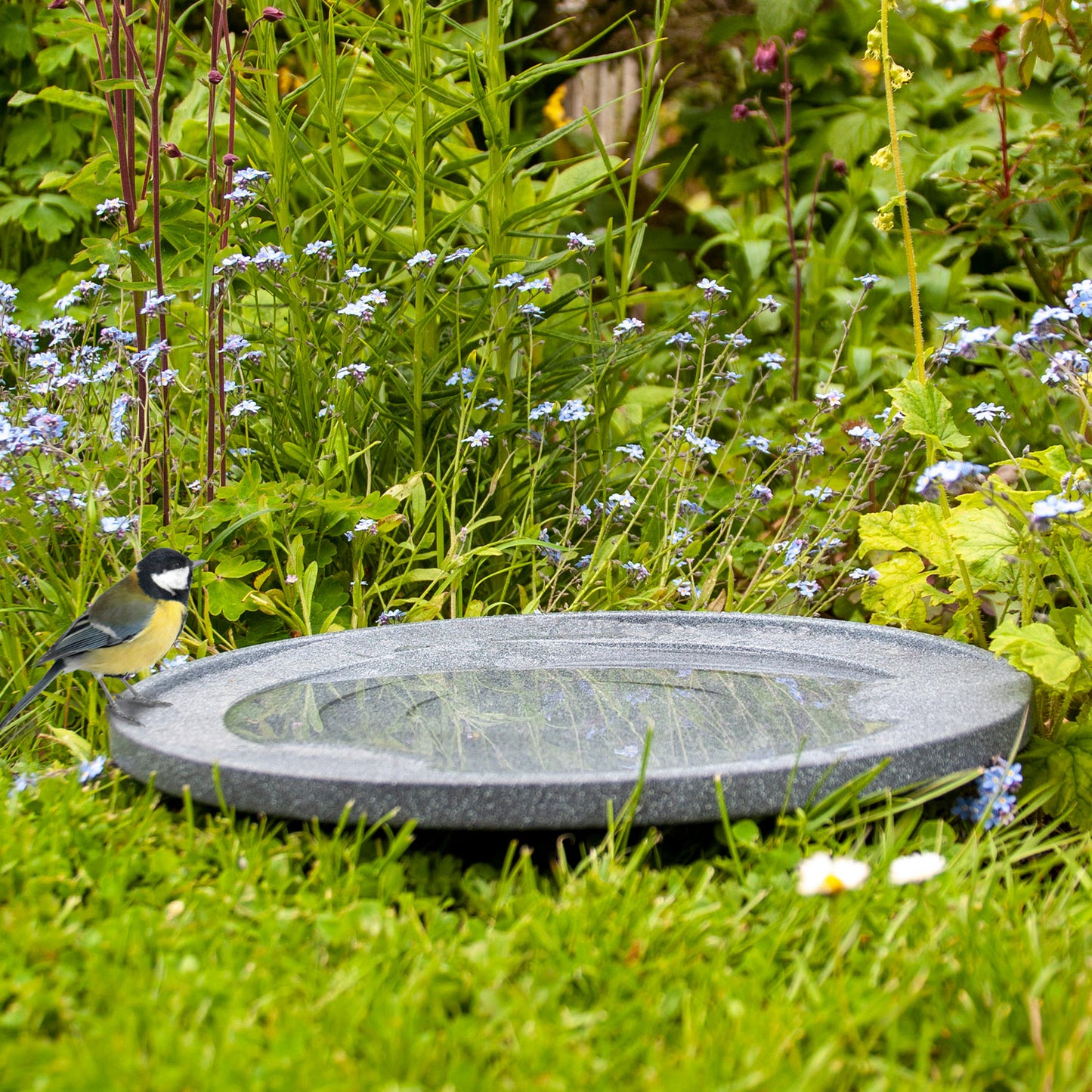 Water is Life Bird Bath & Drinker - Seconds Stock