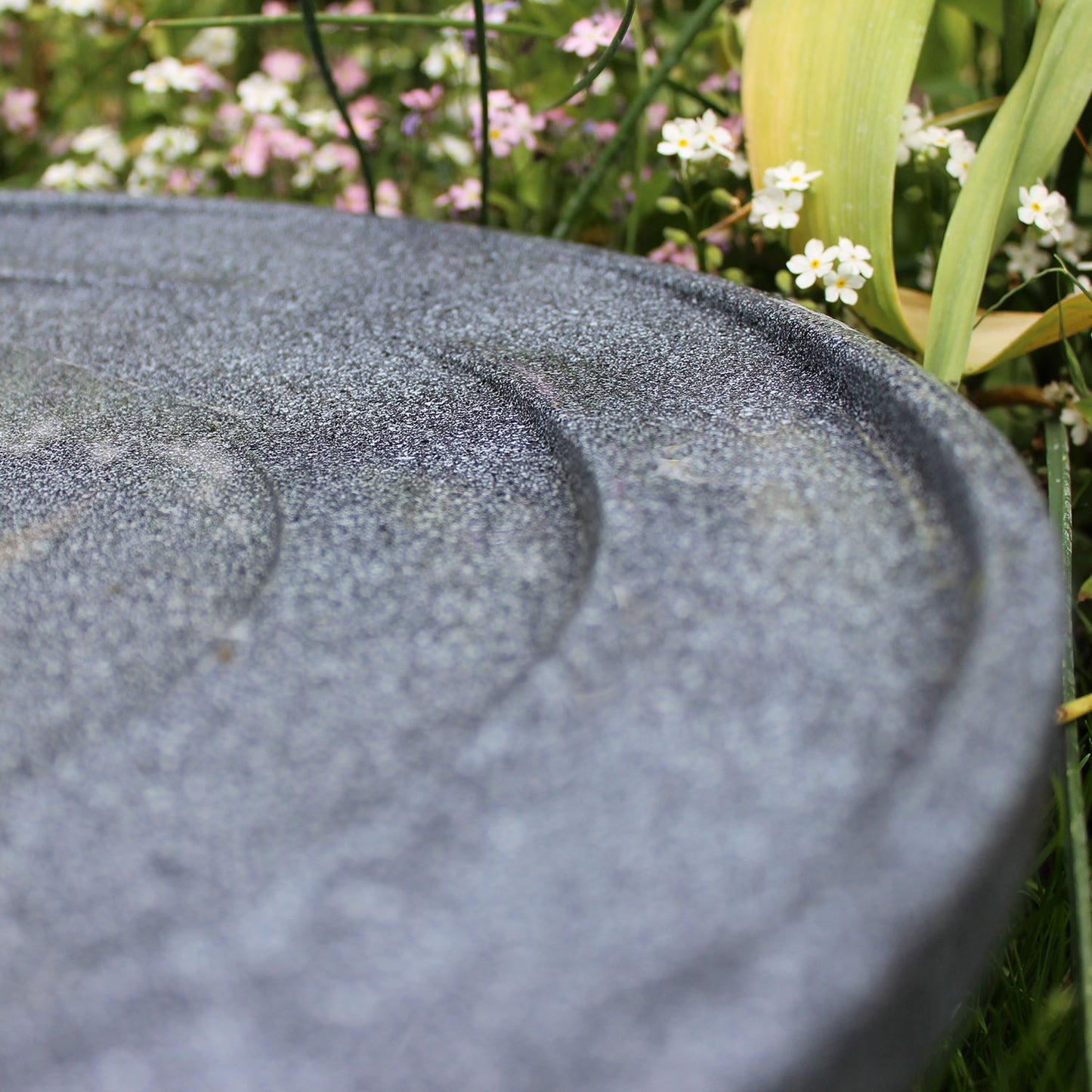 Water is Life Bird Bath & Drinker - Seconds Stock