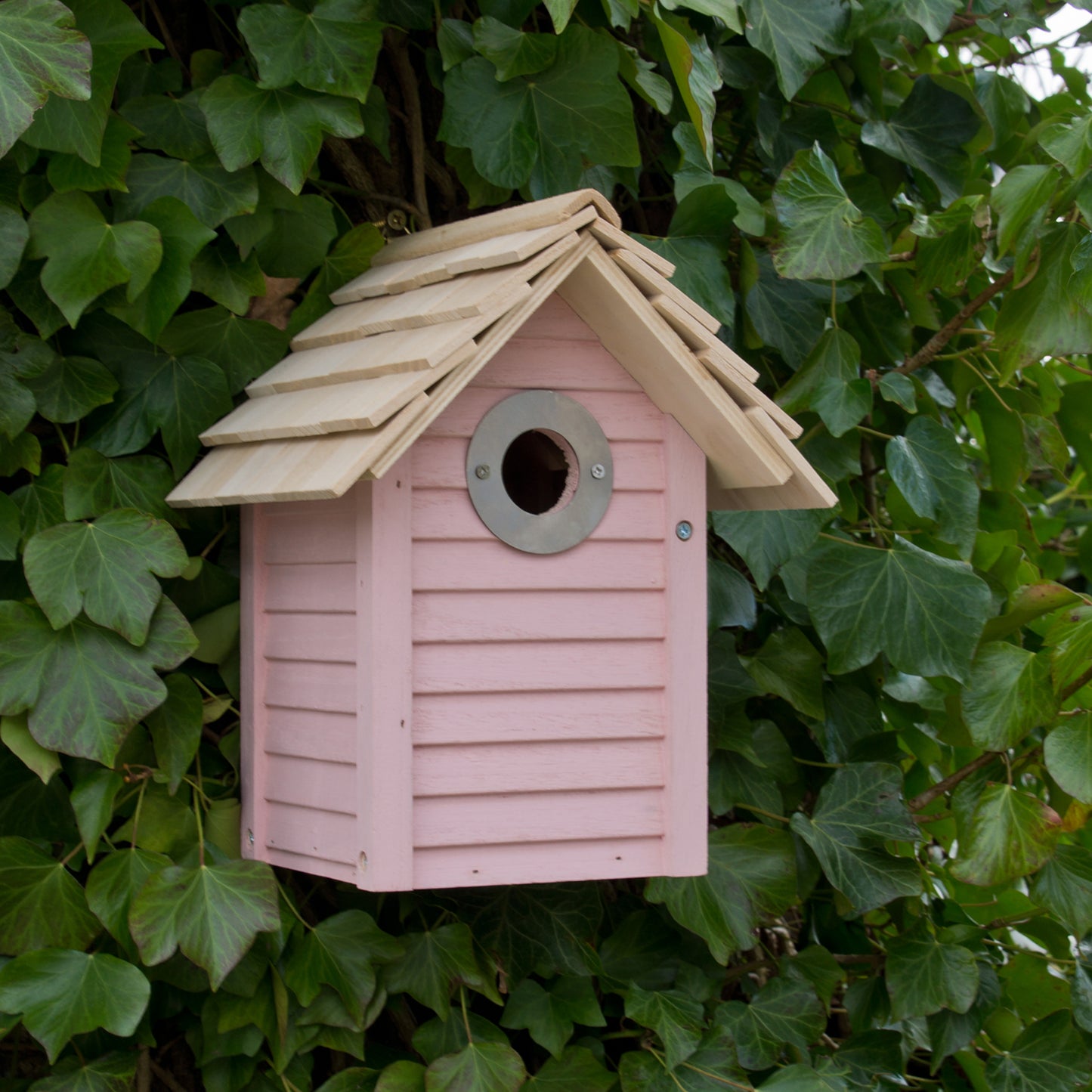 New England Nest Box Pink - Last Few Remaining - Slight Seconds