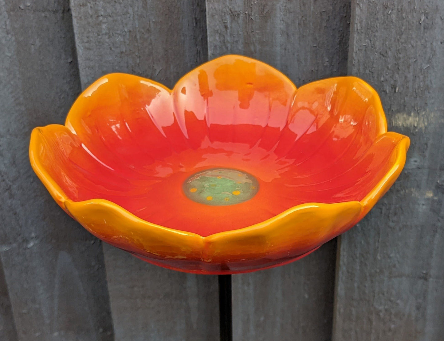 Wild Poppy bird drinker (seconds stock)