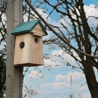 Carolina Bird Nest Box