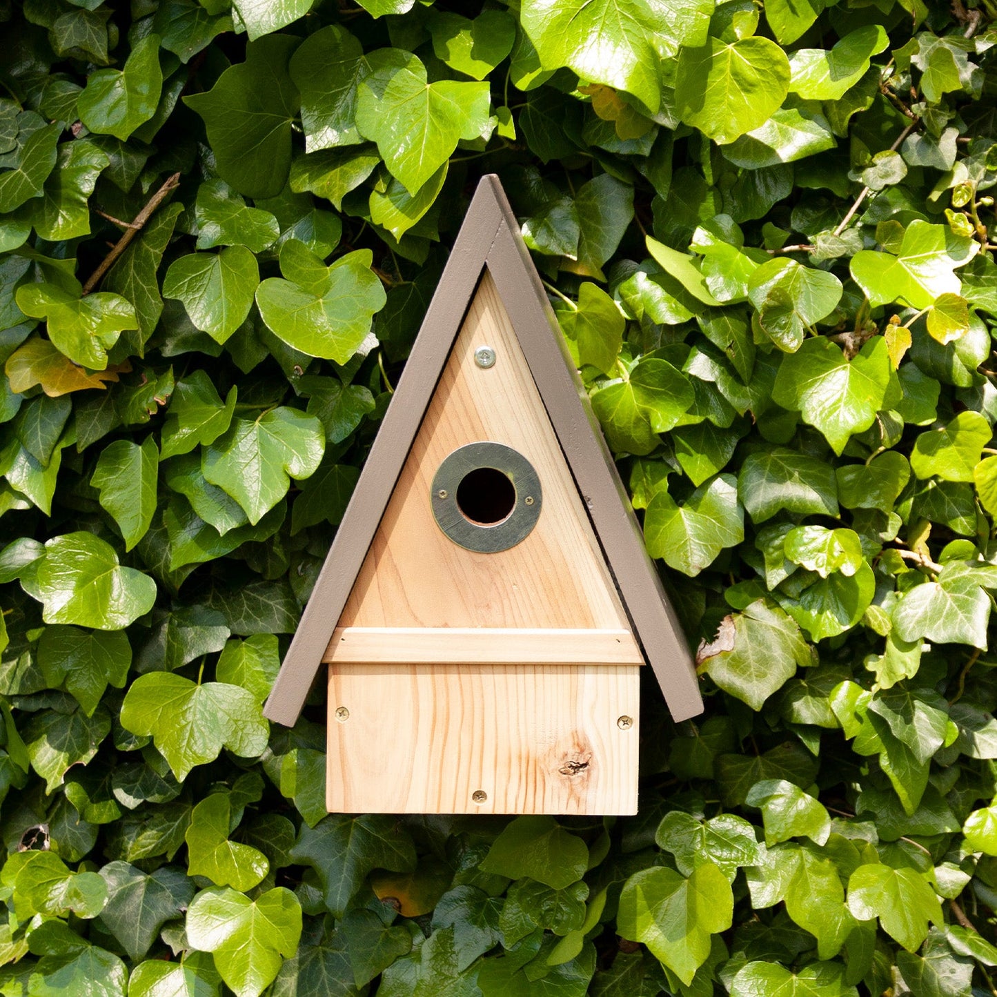 Timeless Multi-Species Bird House - slight seconds