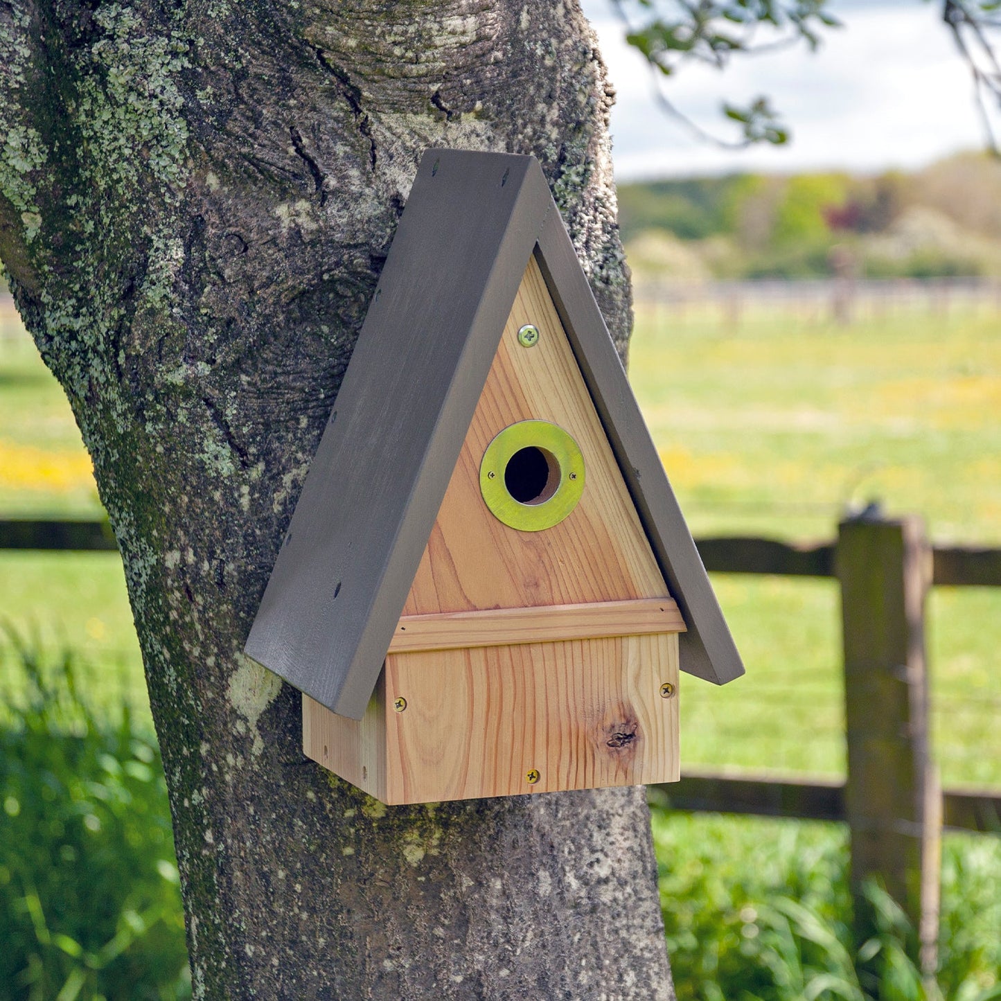 Timeless Multi-Species Bird House - slight seconds