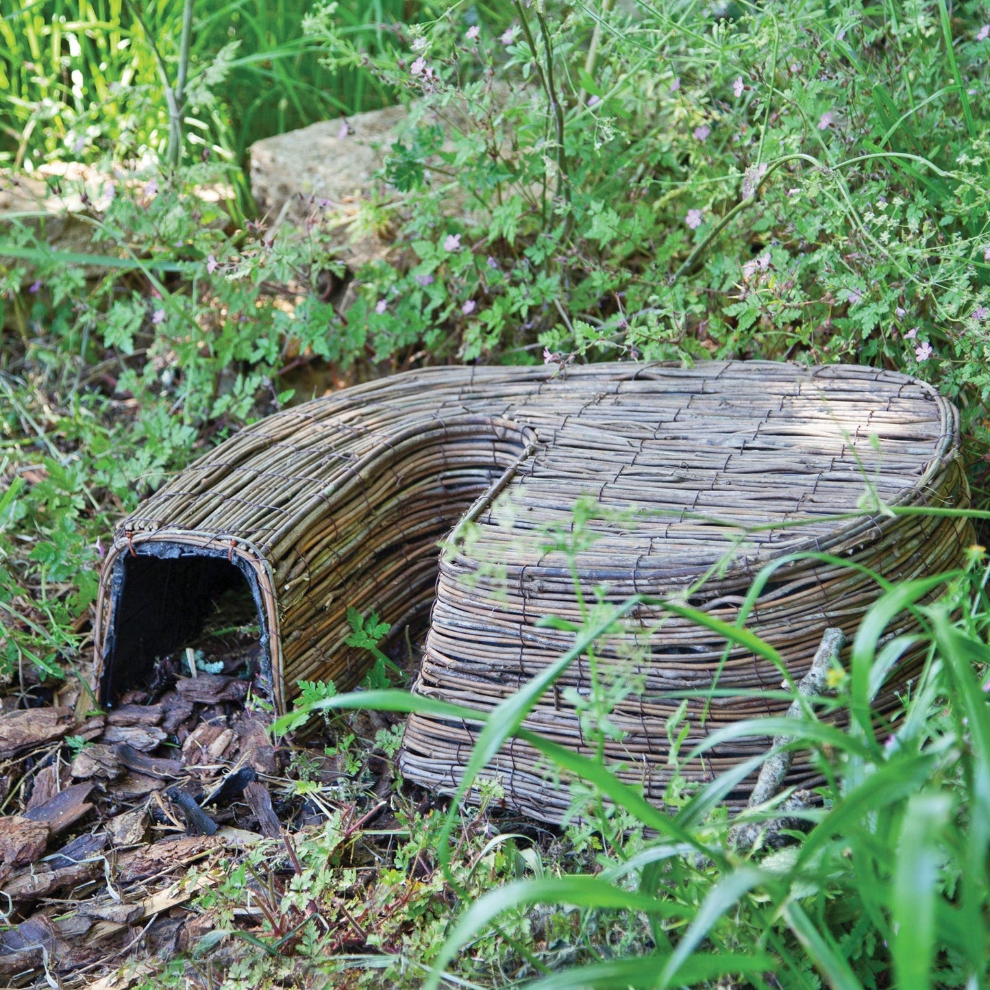 Hedgehog House Retreat