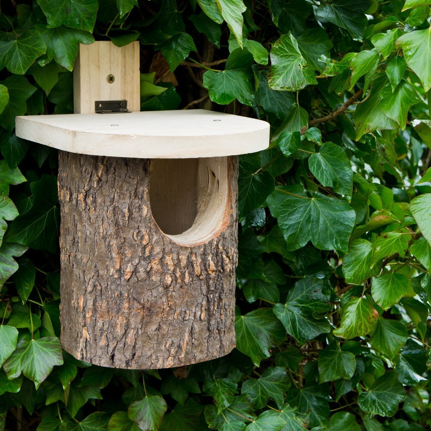 Natural Log Robin Box