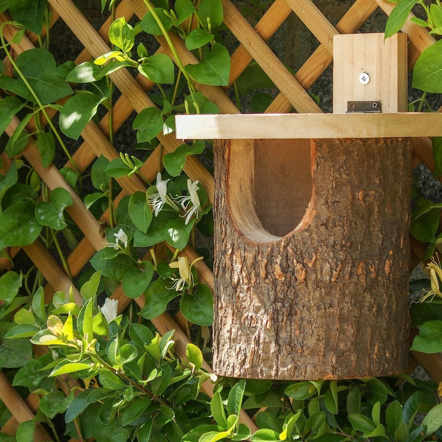 Wildlife World Natural Robin Bird Box