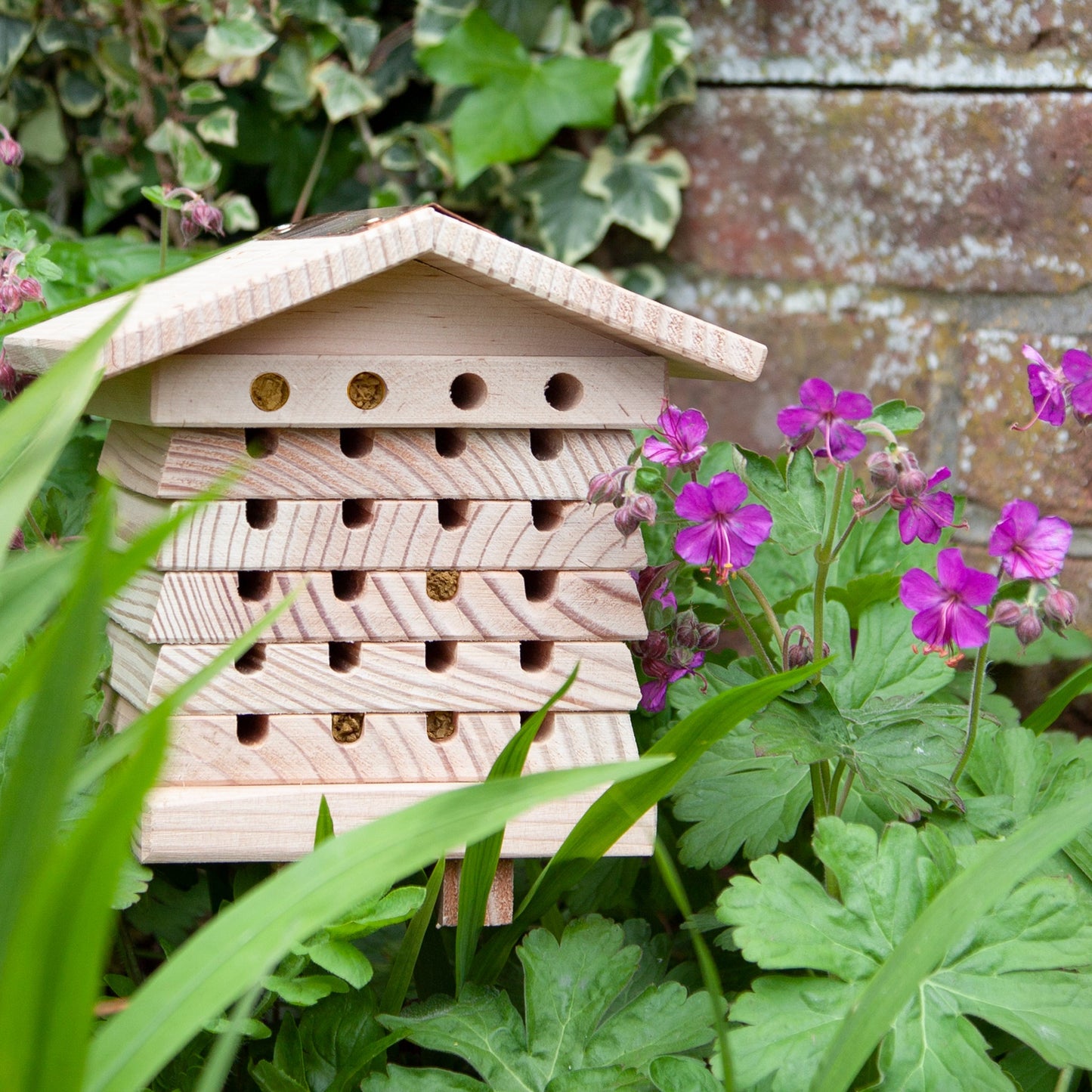 Solitary Bee Hive - Seconds