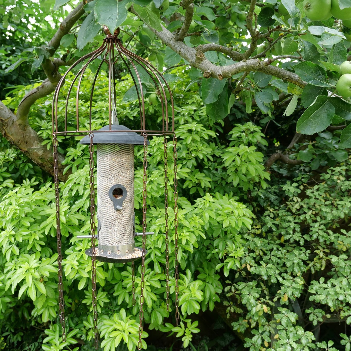 Simon King Medusa Feeder Defender - A Bird feeder Protector