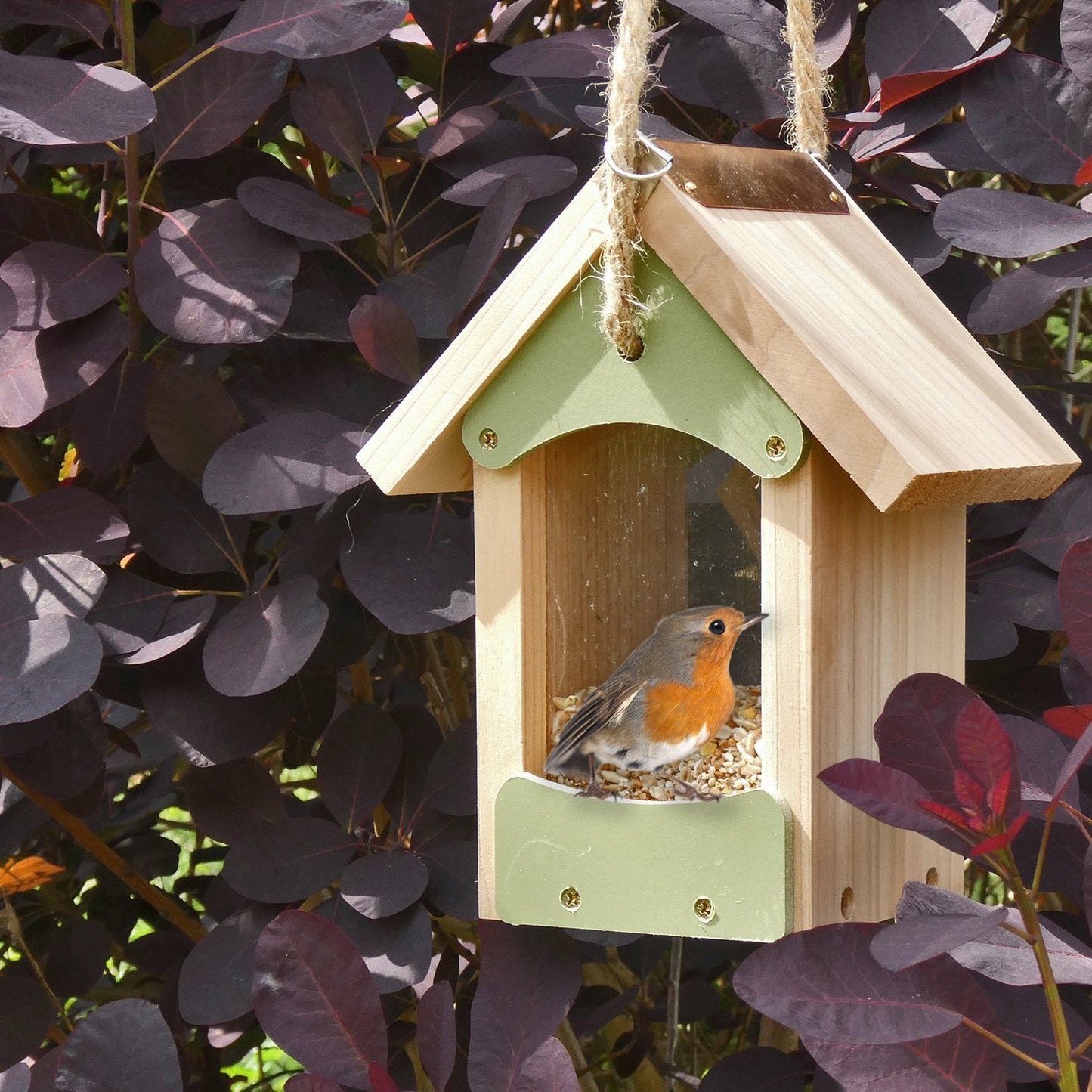 Bird Barn