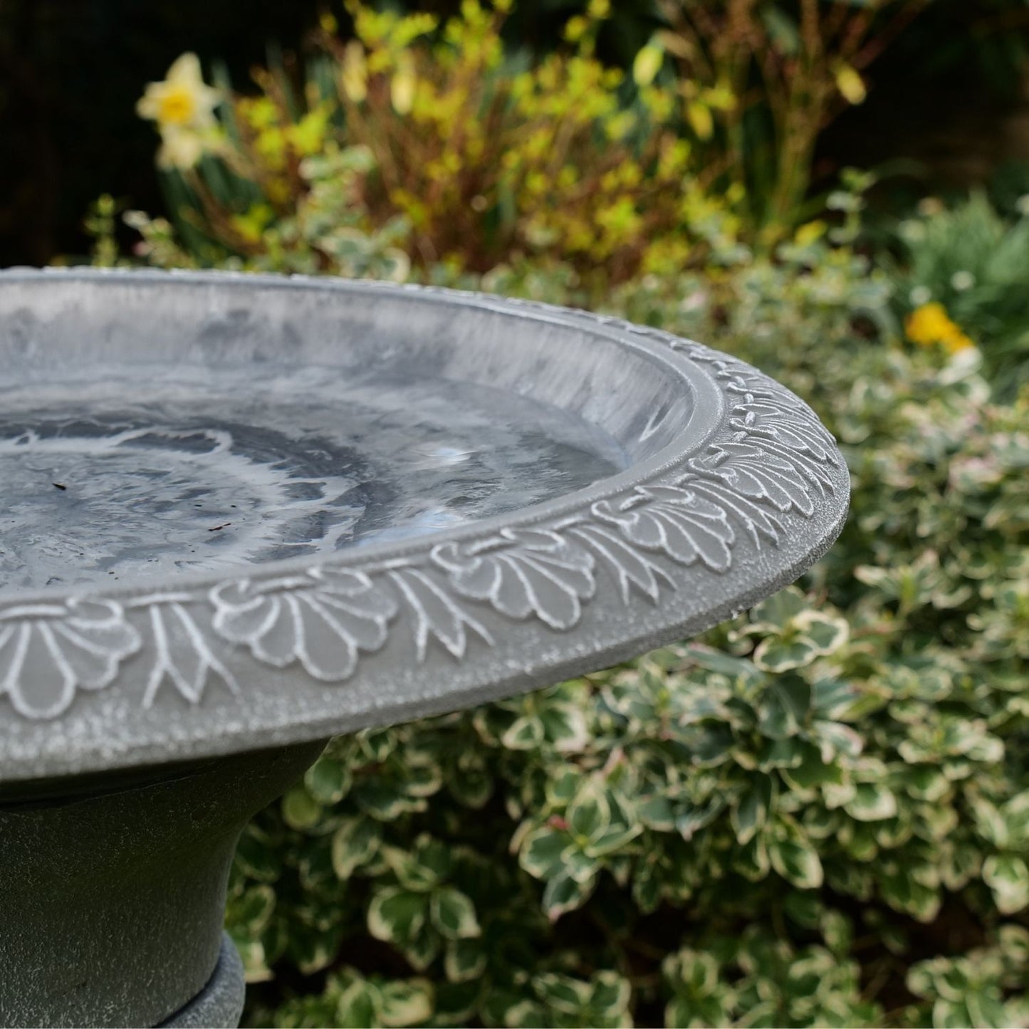 Cameo Bird Bath