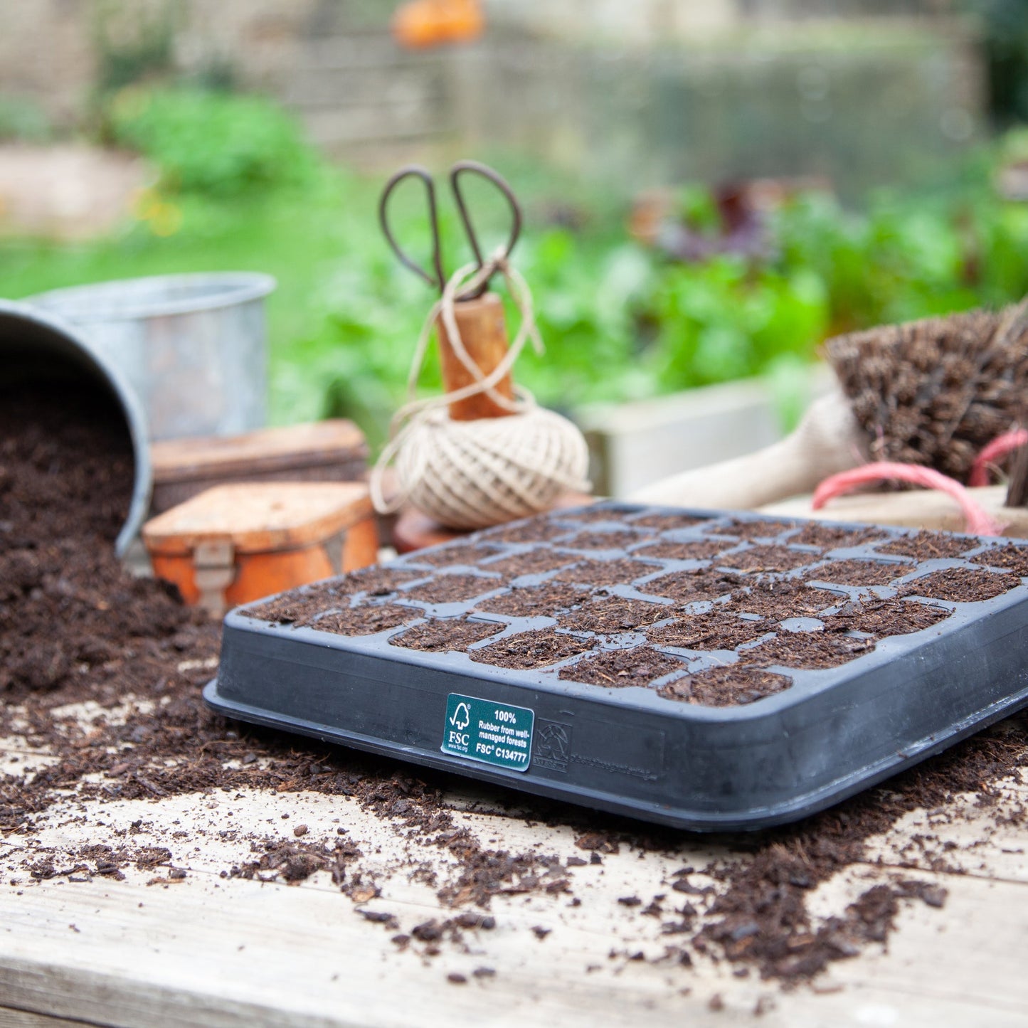 30 Cell Natural Rubber Seed Tray - Excess Customer Stock
