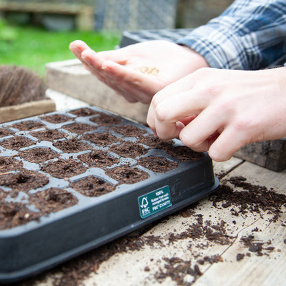 30 Cell Natural Rubber Seed Tray - Excess Customer Stock