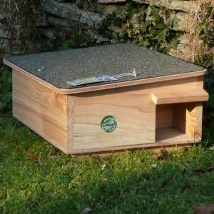 Hedgehog Feeder / House  - LAST FEW REMAINING