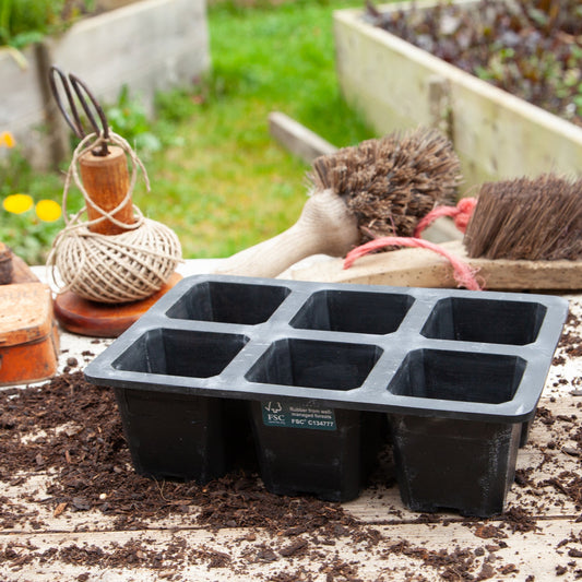 6 Cell XL Natural Rubber Seed Tray - Excess Customer Stock
