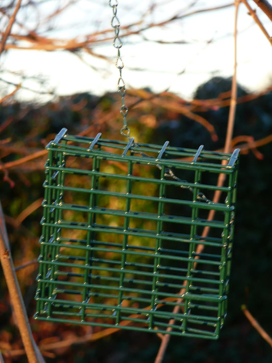 Fat Cake feeder For Wild Birds - Last few remaining