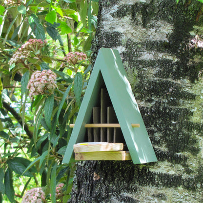 Butterfly House and Feeder - Seconds Stock