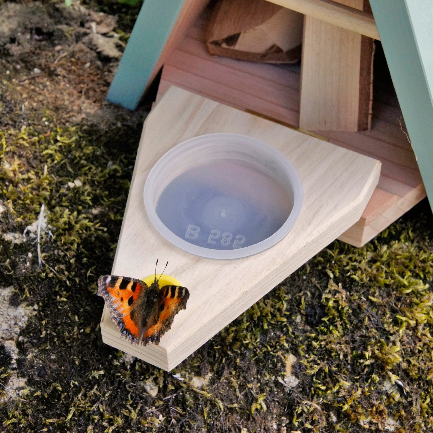 Butterfly House and Feeder - Seconds Stock