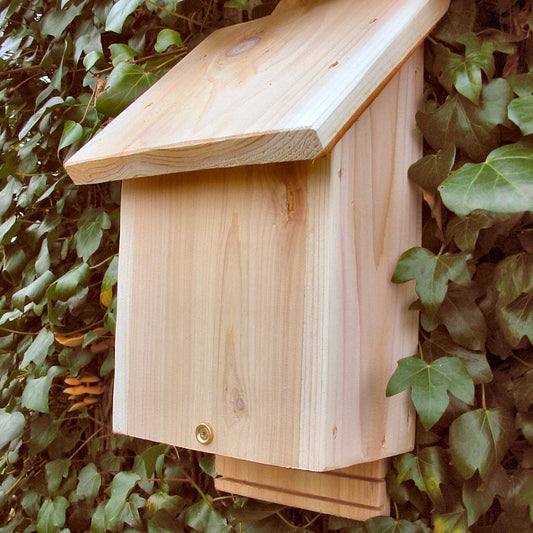 Chavenage Bat Box in Ivy