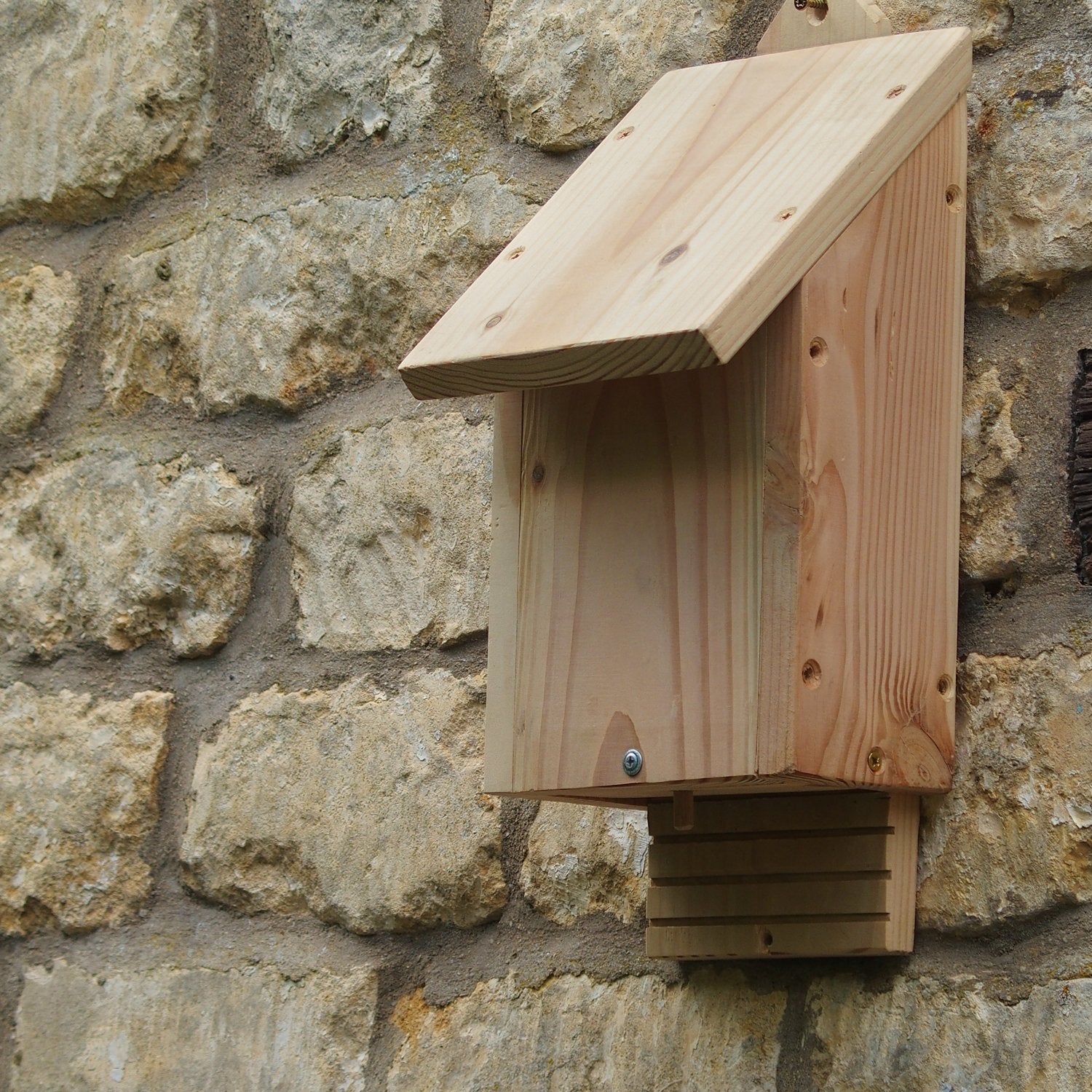 Chavenage Bat Box on wall at Wildlife World