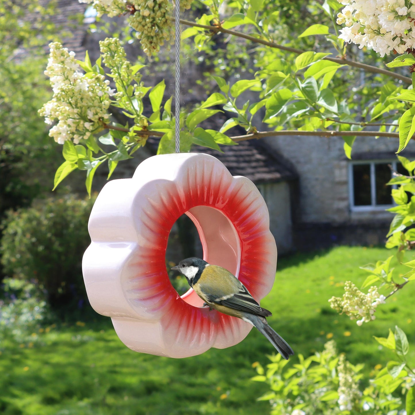 Wild Poppy Hanging Bird Feeder (Seconds stock)