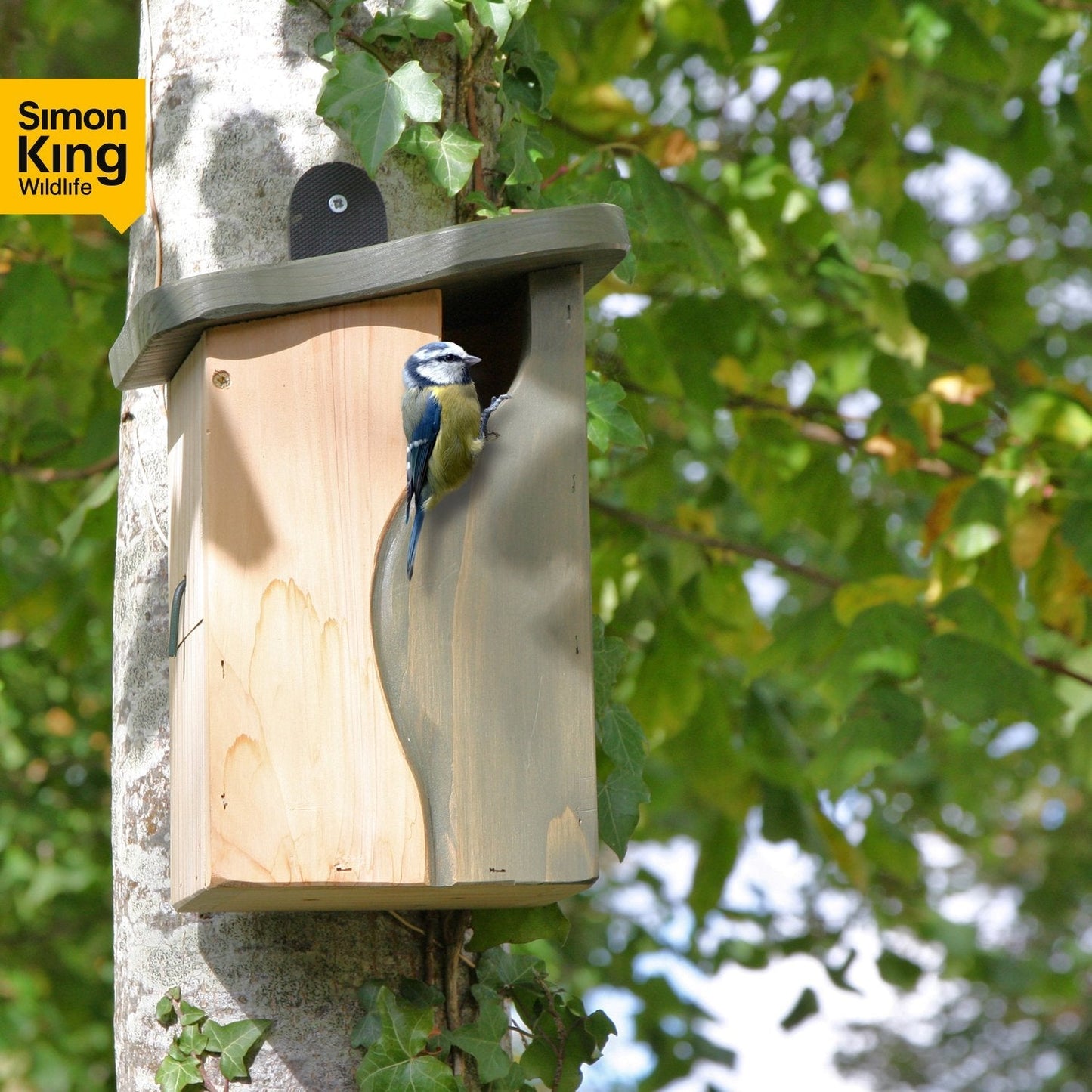 Simon King Cavity Nest Box