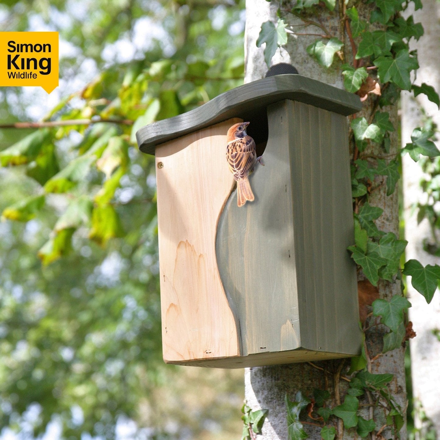 Curve, Cavity Bird Nest Box