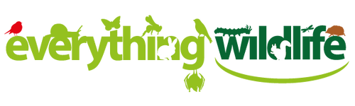 Everything Wildlife UK