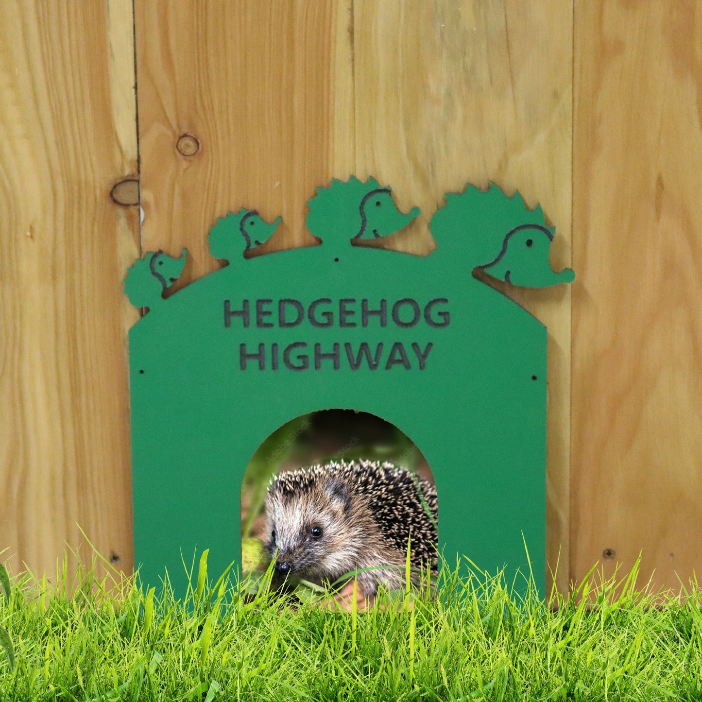 Hedgehog Crossing