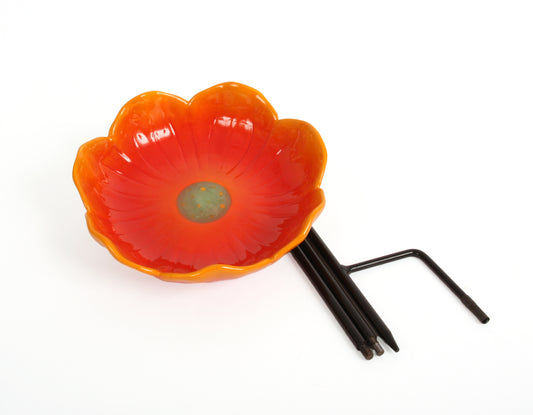 Wild Poppy bird drinker (seconds stock)