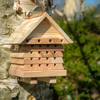 Solitary Bee Hive - Slight Seconds