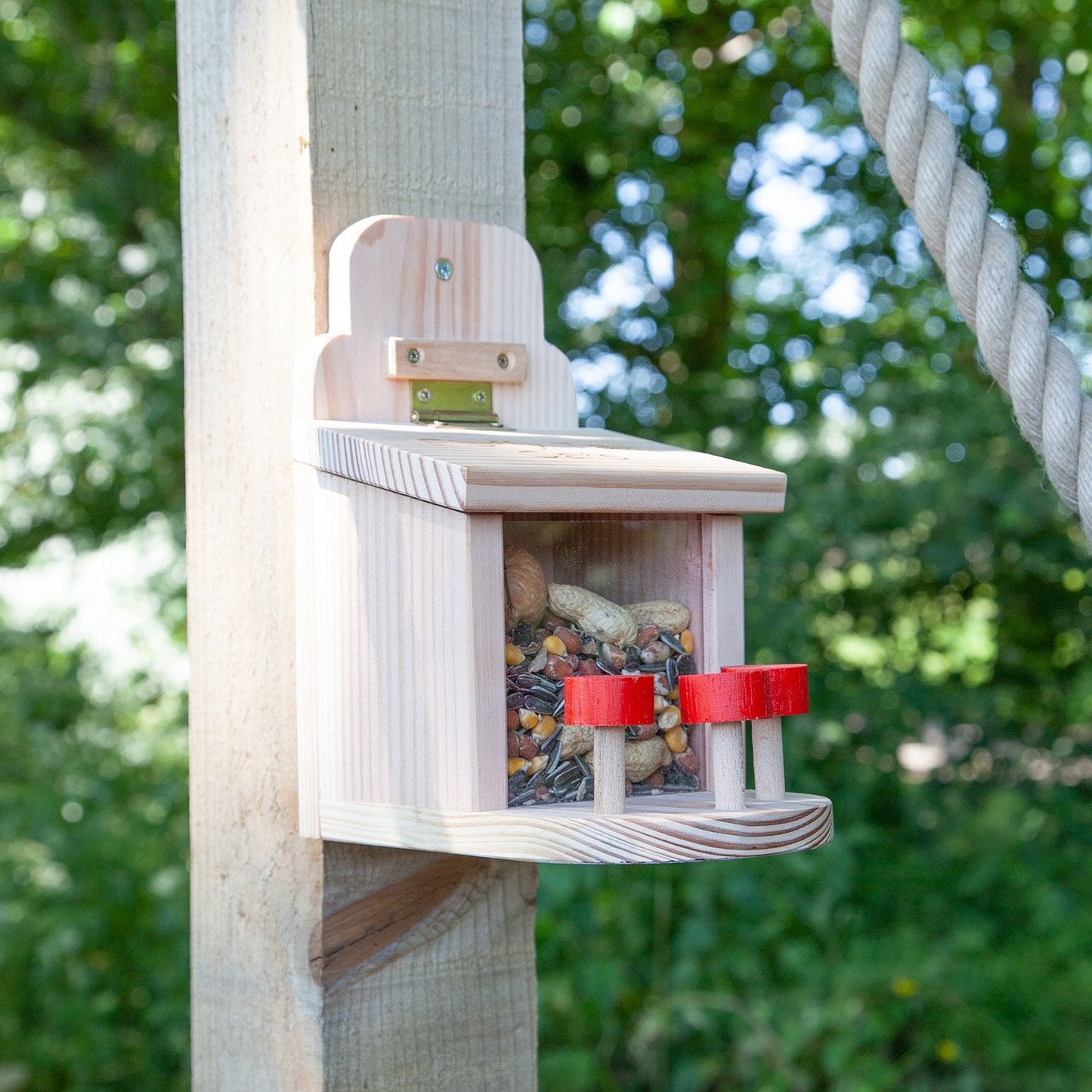 Fluffy Tail Café Squirrel Feeder End Of Line