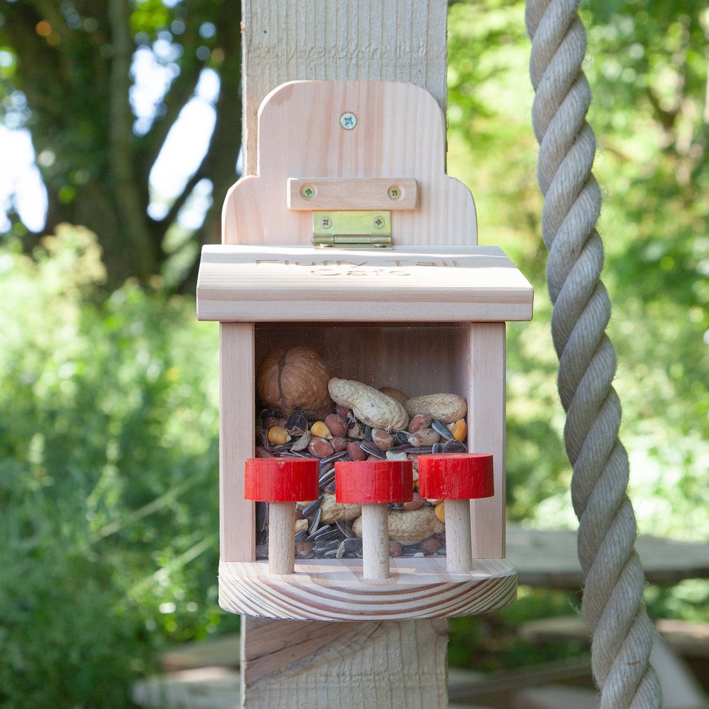 Fluffy Tail Café Squirrel Feeder End Of Line