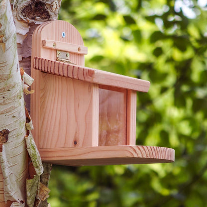 Squirrel Feeder