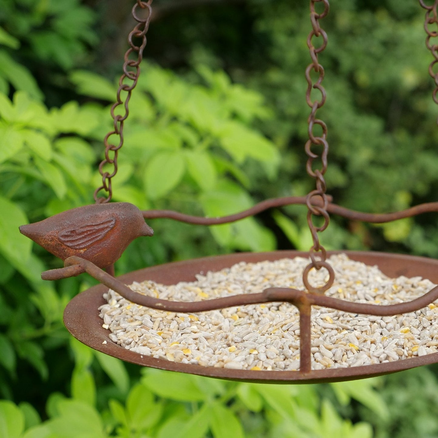 Bagpath - Hanging Bird Feeder - End Of Line