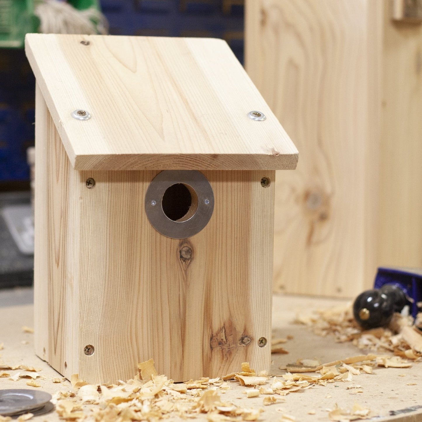 Nest Box in Wildlife World workshop