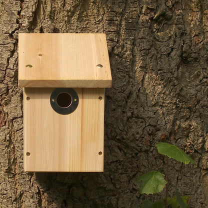 Camera Ready Bird Nest Box