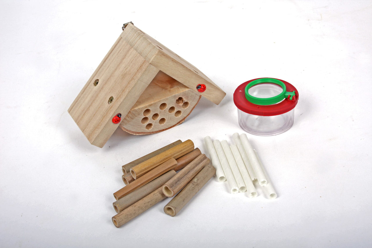 Childrens Bug Box Kit